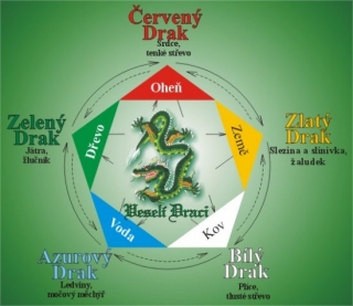 Veselí Draci - elixíry z české Chlorelly, bylin, červeného vína a medu, dle čínské medicíny (zelený, azurový,bílý, červený, zlatý drak)