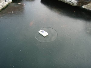 Schego ohřívač 300 W pro jezírko