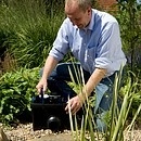 FiltoMatic 14000 CWS