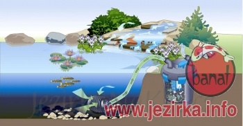 Oase Biopress Set 6000